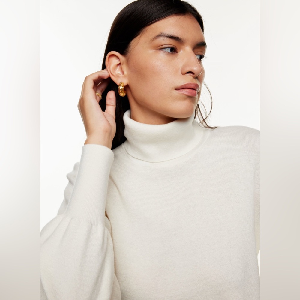 Wilfred Rebecca turtleneck sweater